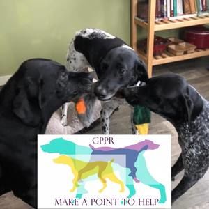 Meet your Posher, Pat